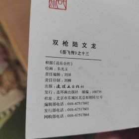 双枪陆文龙