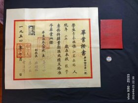 1954年华东师范大学毕业证书，1954年华东师范毕业纪念章，1960年华东师范大学函授毕业文凭，3种合售——如图