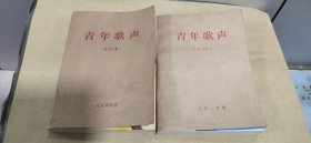 青年歌声（1990年第1－12期，1991年第1－12期）（合订2本合售）
