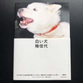 现货 日版 白い犬 白色的狗 梅佳代 摄影集