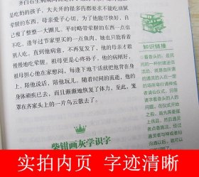 正版 榜样的力量 齐白石 将中国画推向新高峰的人  名人传记书籍 中国名人传记 名人传记 青少年版区域