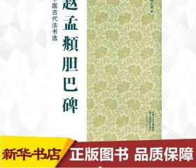 赵孟頫胆巴碑 魏文源  编 书法/篆刻/字帖书籍艺术 新华书店正版图书籍 江苏美术出版社