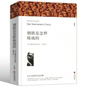 钢铁是怎样炼成的八年级下册初中生原著全译本完整版青少年中学生课外阅读小说文学世界名著