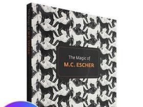 The Magic of M.C. Escher 埃舍尔的魔力