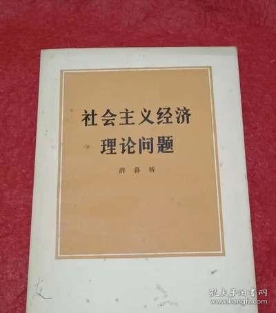 社会主义市场经济的伦理辩护问题(理论智慧与实践探索丛书)