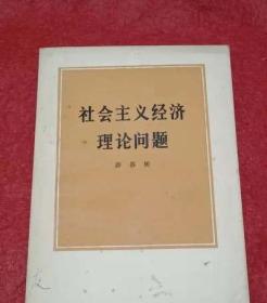 社会主义市场经济的伦理辩护问题(理论智慧与实践探索丛书)