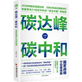 碳达峰碳中和：国家战略行动路线图 袁志刚 循环经济 低碳经济 环境气候