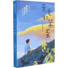 亲爱的笨蛋/新时代新成长原创文学书系9787533965532