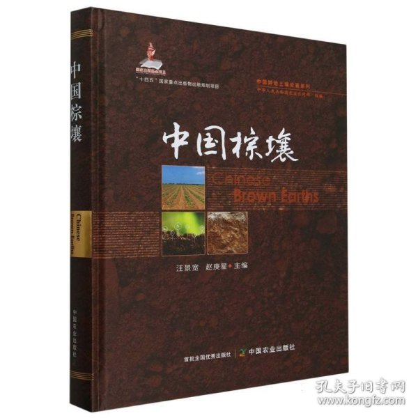 中国棕壤