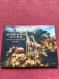 非洲野生动物大迁徒展-精装【a号】