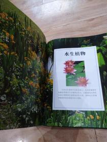 世界园林植物与花卉百科全书-精装厚册-附多图-看描述及书影