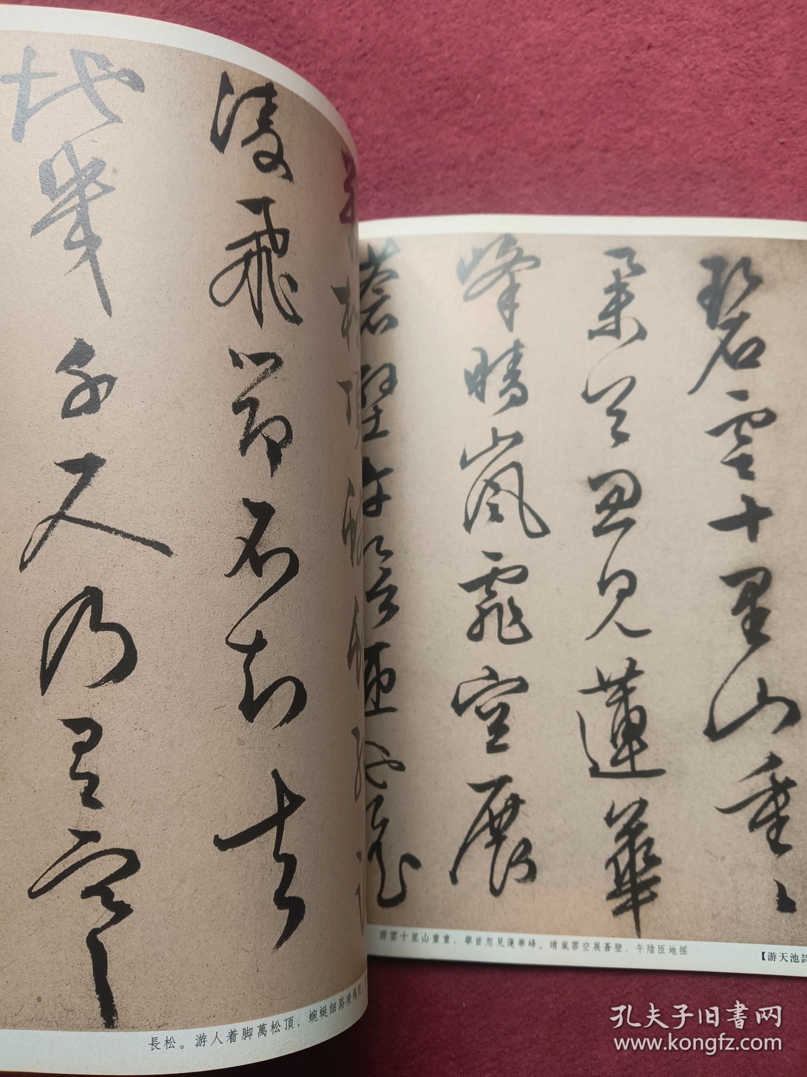 文徽明题仿米雲山图-【专号1号】