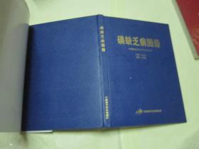 碘缺乏病图谱  /  作者签赠本 硬精装带书衣 一版一印 仅500册  铜版彩印大16开/