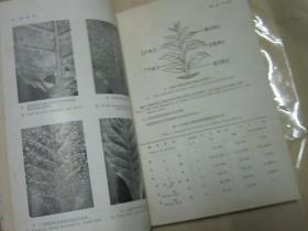 烟叶试验所年报（1972年 16开厚本）