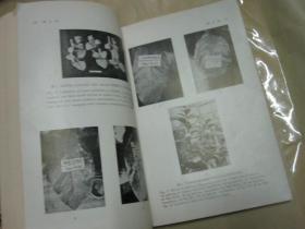 烟叶试验所年报（1972年 16开厚本）