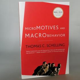 Micromotives and Macrobehavior Paperback – October 17, 2006 by Thomas C. Schelling  (Author)