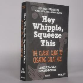 Hey, Whipple, Squeeze This: The Classic Guide to Creating Great Ads 5th Edition