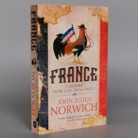 France: A History: from Gaul to de Gaulle Paperback – 2019 by john julius norwich (Author)