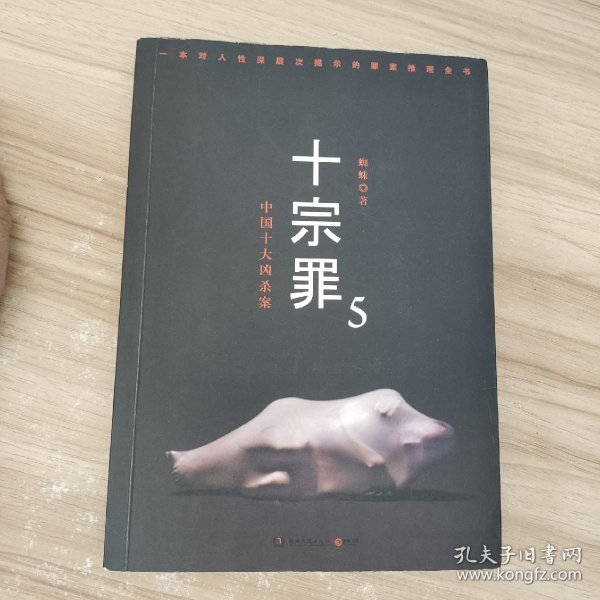 十宗罪5：中国十大凶杀案