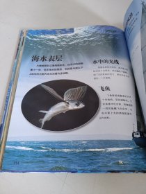 探索频道·少儿大百科全书：海洋生物 /赵畅 湖北美术出版社 9787539438719