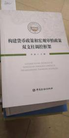 构建货币政策和宏观审慎政策双支柱调控框架