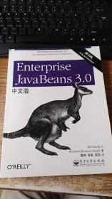 Enterprise JavaBeans 3.0中文版