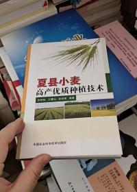 夏县小麦高产优质种植技术