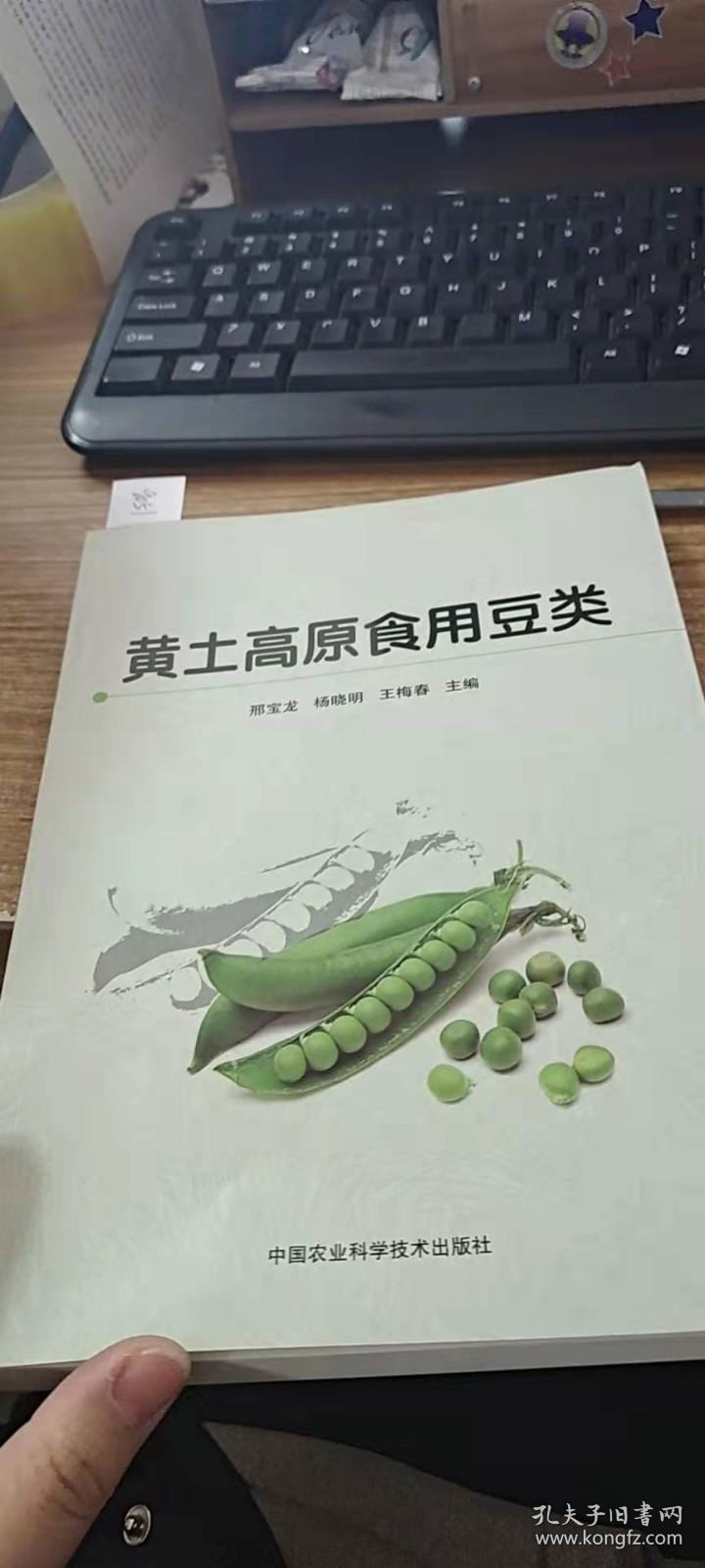 黄土高原食用豆类