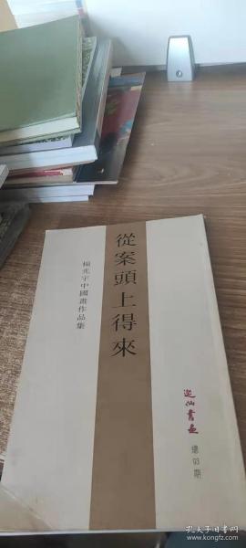 从案头上得来：杨光宇中国画作品集