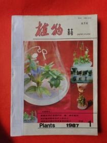 植物杂志 1987 1—6期全年