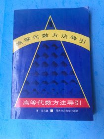 高等代數(shù)方法導(dǎo)引