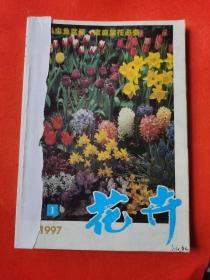 花卉 1997：1、2、3、4、5、6期全年