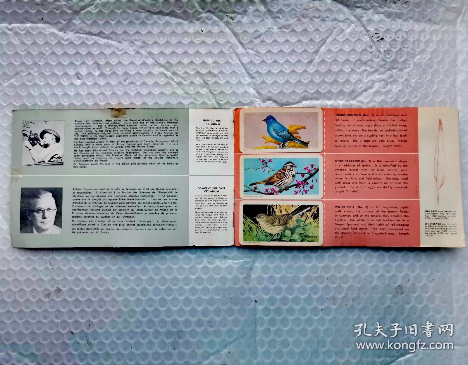 加拿大“北美鸣禽”系列茶叶卡集藏册