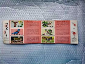 加拿大“北美鸣禽”系列茶叶卡集藏册