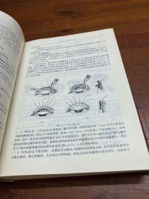眼科手术学第2版