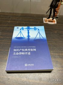 知识产权典型案例主办律师评述