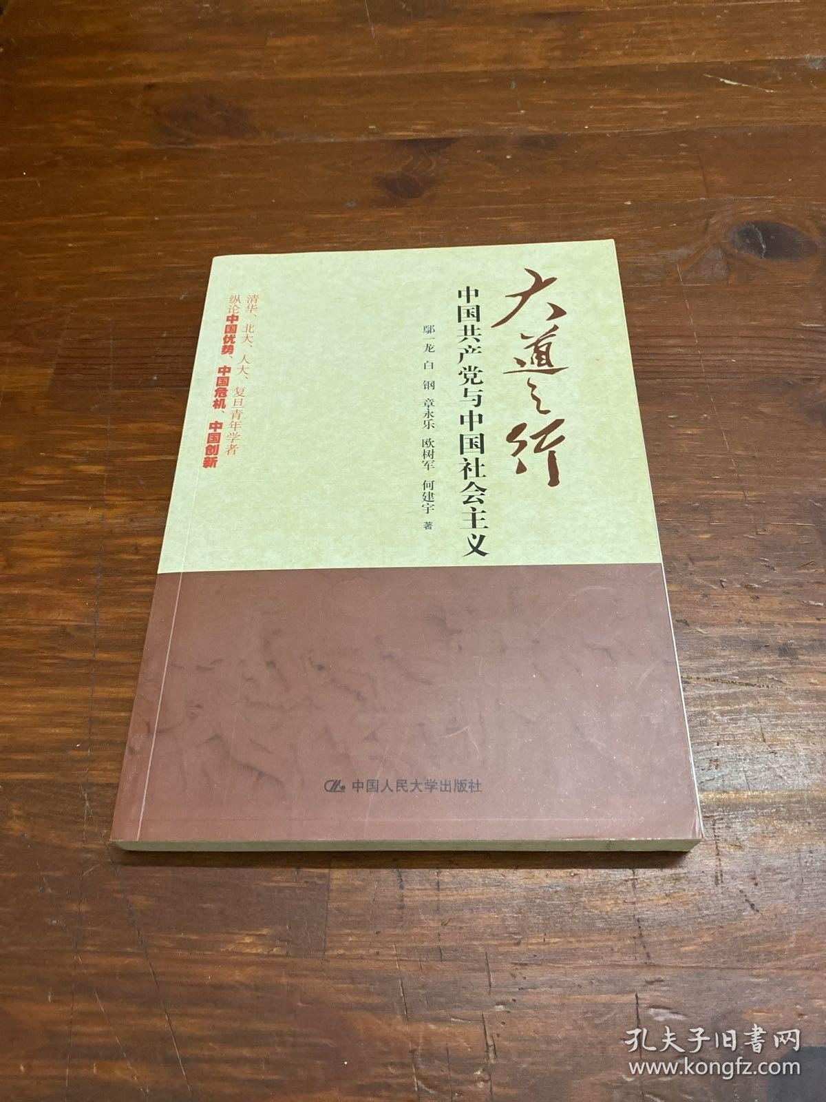 大道之行：中国共产党与中国社会主义 /鄢一龙