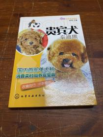 宠尚生活系列：贵宾犬（泰迪熊）