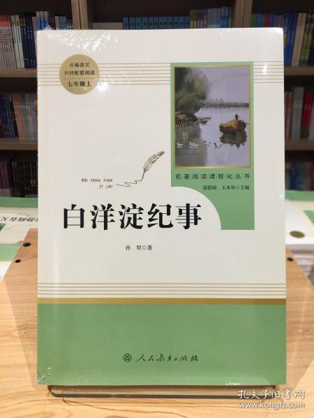 白洋淀纪事 名著阅读课程化丛书（统编语文教材配套阅读）七年级上