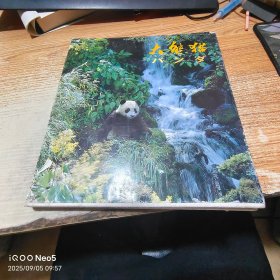 大熊猫【外封面破损】