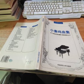 钢琴教学丛书：小奏鸣曲集