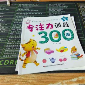 专注力训练300图  两册合售