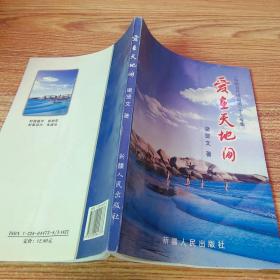 愛在天地間 缺前扉頁，開裂