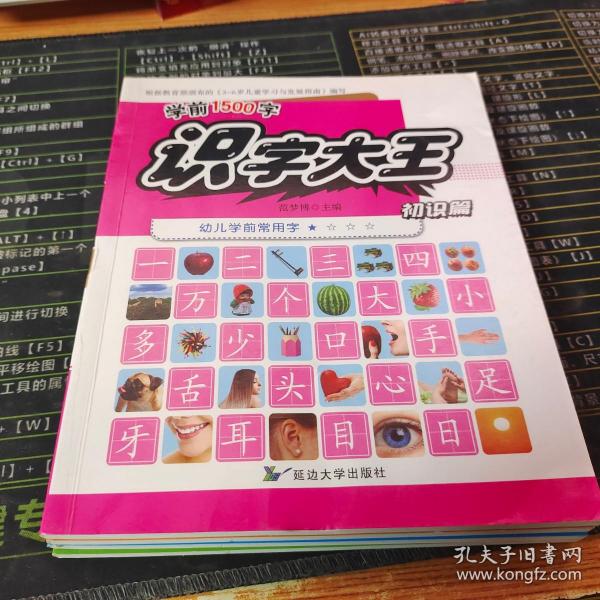 3-6岁识字大王幼儿学前常用字学前1500字（全4册）