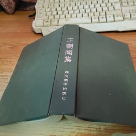 王朝闻集  第五卷 精装