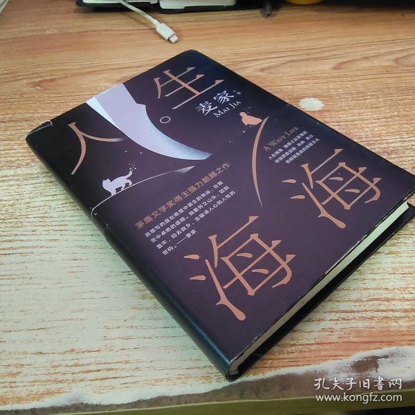 麦家：人生海海（茅盾文学奖得主麦家2019年强力之作）