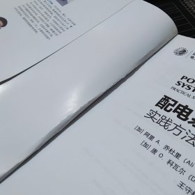 配电系统可靠性：实践方法及应用【有水迹，不妨碍翻阅】