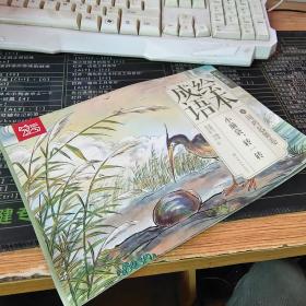 中国绘·成语绘本 亲子阅读经典成语故事 :闻鸡起舞卷
