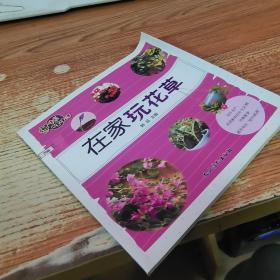 逆生长慢生活：在家玩花草