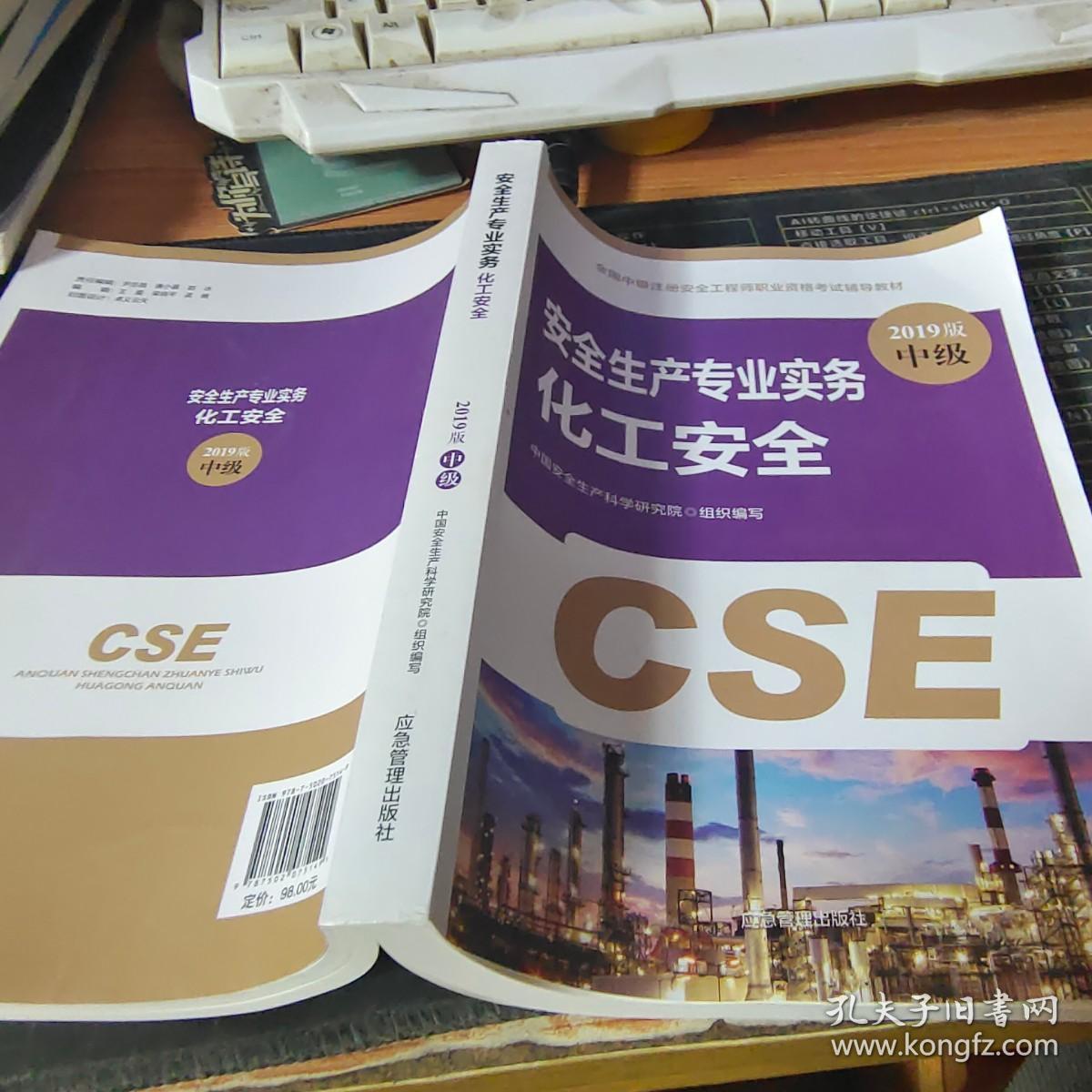 注册安全工程师2019教材化工安全专业实务全国中级注册安全工程师职业资格考试辅导教材2019版